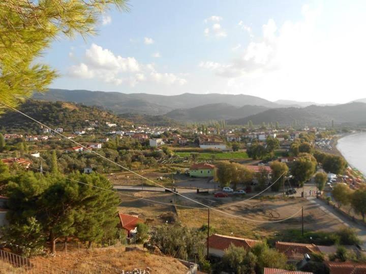 Anaxos Hotel Luaran gambar